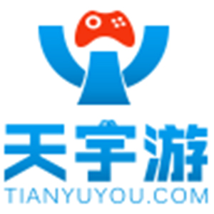 湖南天宇游网络科技有限公司