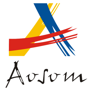 遨森电子商务（中国）有限公司