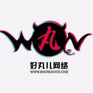 江西好丸儿网络科技有限公司