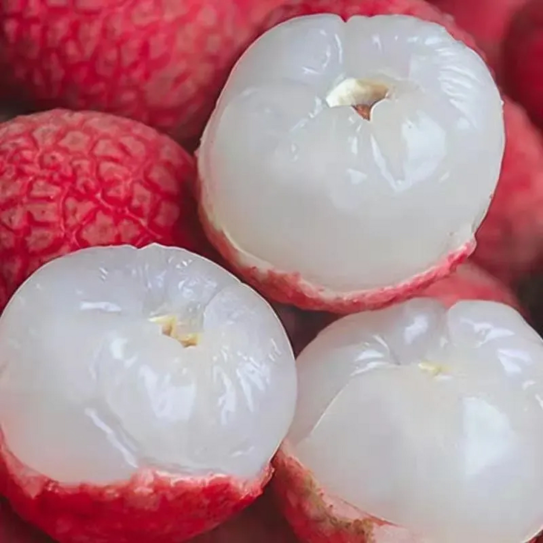 微信图片_20250616111535.png 微信图片_20250616111535.png